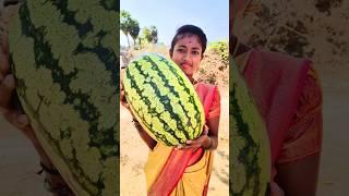 Watermelon Juice Fruit Juice Making #shorts