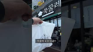 정다율TV 목포여행 평화광장 쑥꿀레 방문