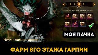 Фарм 8го Этажа Ядовитой Могилы (Grave of Venom) | Моя пачка | Dragonheir: Silent Gods | Элви