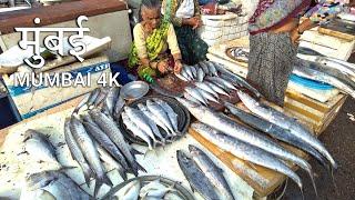 MUMBAI, Sassoon Dock Walking Tour - Fish Market Life 4K HDR