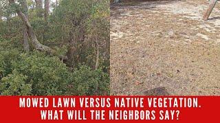 Native planting are economical, sustainable, use less water, and reduce runoff and pollution!