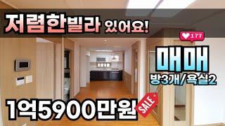 경기광주빌라 대단지 회덕동 저렴한빌라 1억5900만원