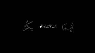 تلاوات قرآنية مميزة