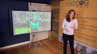 Medical Cannabis and Pets - CBD Presentation by Angela Ardolino