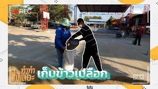 ทำทำไปเถอะ : เก็บข้าวเปลือก