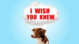 30 Things Your Dog Wishes You Knew