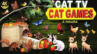 CAT GAMES ULTIMATE CAT TV COMPILATION | BEST CAT GAMES AND VIDEOS 4K UHD, 60 FPS  8 HOURS