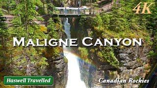 Maligne Canyon, Jasper National Park - in den kanadischen Rocky Mountains, Alberta, Kanada 4K