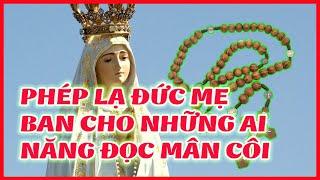  Phép Lạ Đức Mẹ Maria Qua Những Câu Chuyện Đời Thường