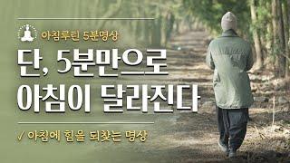 [아침루틴‍️5분명상] 단, 5분으로 하루의 시작 아침이 달라진다 ️ 아침에 힘을 되찾는 명상 ️ 아침에 편안함을 찾는 5분명상 ️ 아침에 명상으로 내 안의 평온을 찾다