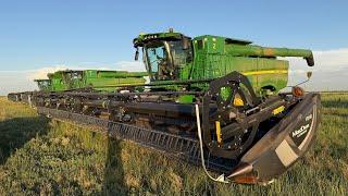 Wheat vs Weeds: The Battle Begins in West Texas!