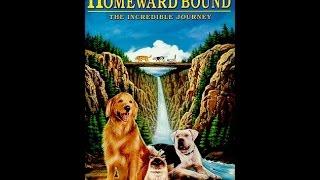 Opening to Homeward Bound The Incredible Journey 1993 VHS