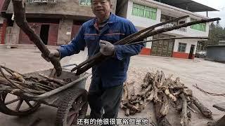 妹子骑行中国在四川路边挑战随机去陌生人家里蹭饭