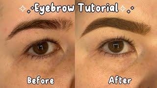 ₊⁺Eyebrow Tutorial₊⁺ | Amelia Sue Jean