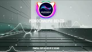 Monochrome Beats - Minimal EDM House by IC Sound 