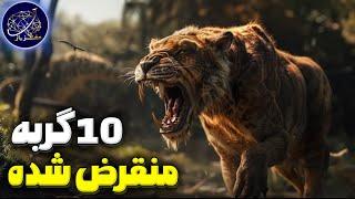 10 گربه وحشی و قدرتمند ماقبل تاریخ