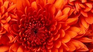 132 TeknoAXE s Royalty Free Music Loop