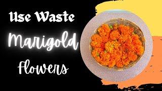 Marigold Flowers Seeds | How to use Waste Flowers | Marigold Flowers | How To Collect Marigold seeds