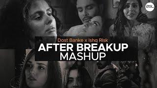 Dost Banke X Ishq Risk  X Zihaal e Miskin X Koi Si Mashup | After Breakup Mashup 2024 |