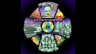 Bad Acid Trip - Segregated To Rationalize A Virtual Utopia