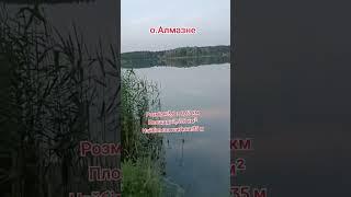 Алмазне озеро Київ#алмазноеозеро#алмазнеозеро#алмазка#озеро#київ#лісовиймасив #троещина#троєщина