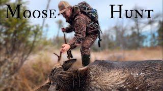 MOOSE HUNTING for 2 DAYS  in Newfoundland’s Backcountry !  ( Moose 2024 PT 2/2 )