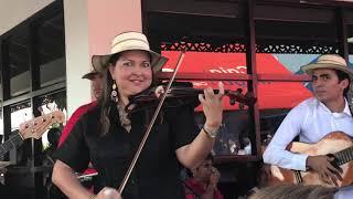 Violinista - Lurys Villarreal