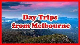 5 Top-Rated Day Trips from Melbourne, Victoria | Australia Day Tours Guide