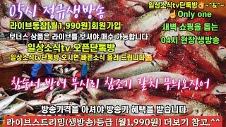 참숭어 부시리 방어 무늬오징어 참조기 갈치11/19일 05시 정규라이브(월~토)️Only one 새롭고 싸고 다양한 노량진수산시장 새벽 쇼핑을 돕는 정규생방송(Live)운영~^^