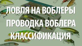 ВОБЛЕРЫ: ЛОВЛЯ НА ВОБЛЕР ДЛЯ НАЧИНАЮЩИХ - ТЕХНИКА ПРОВОДКИ ВОБЛЕРОВ