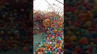 이게 끝에 있었던 이유... 진짜 미쳤다