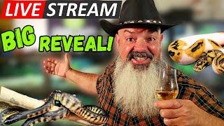 Livestream: Big reveal! Snakes, scotch, and a bunch of Q&A.
