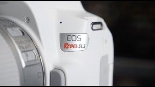 In Depth with the Canon Rebel SL3 (Both colors) | Norman Camera