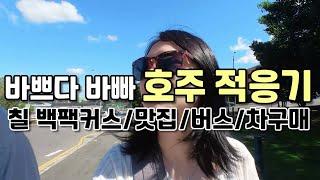 호주 칠 백팩커스 후기와 브리즈번 맛집 추천! 고카드로 버스타고 차 사러 가요