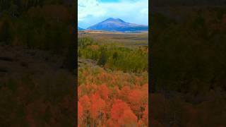 Autumn Colors, Hiking California's Northeast Sierra-Nevada ️ #hiking #california  #autumn