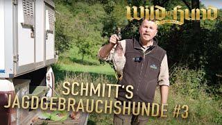 Schleppenarbeit - Schmitt's Jagdgebrauchshunde - Folge 3