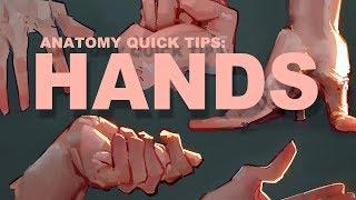 Anatomy Quick Tips: Hands