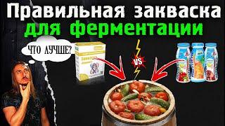 Закваска для домашней ферментации: как выбрать и сэкономить?