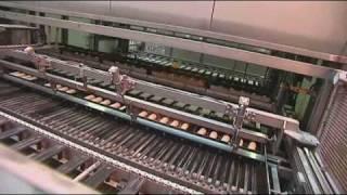 Baking bread in a factory (7-11yr pupils)