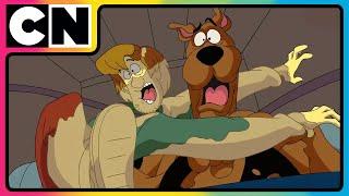 Scooby and the Squad’s Clever Capture! | Scooby Doo  | #compilation | #cartoon | @cnindia