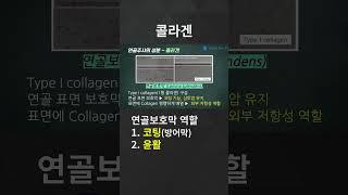 콜라겐주사 #연골주사 #무릎관절주사 #콜라겐주사