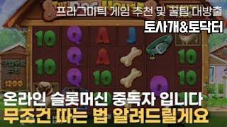 [토사개&토닥터] 프라그마틱 슬롯 중독자의 꿀팁