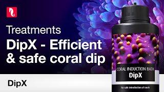 DipX Coral Dip – Safely introduce new corals to your tank.