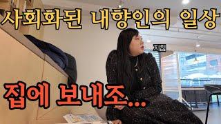 이것저것 사재끼고 리뷰하는 브이로그/내향인의 일상/인프피/vlog/노트북가방추천/빅백추천/향수추천