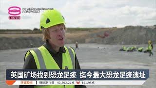 英国矿场找到恐龙足迹 迄今最大恐龙足迹遗址【2025.01.03 八度空间午间新闻】