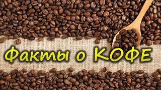 Пить или не пить кофе по утрам? Интересные факты о КОФЕ.