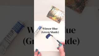 Winsor & Newton Professional Watercolour | Nicki Traikos Starter Set