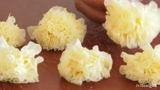 Girolle é usado para raspar o queijo em rosetas semelhantes a cogumelos chanterelle girolle em franc