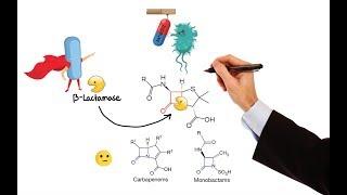 Pharmacology – ANTIBIOTICS – CELL WALL & MEMBRANE INHIBITORS (MADE EASY)