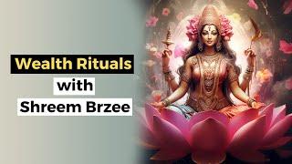 Shreem Brzee Mantra & Fire Lab for Wealth Consciousness | Attract Wealth, Success & Career Growth